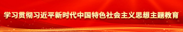 性插十八岁美女学习贯彻习近平新时代中国特色社会主义思想主题教育